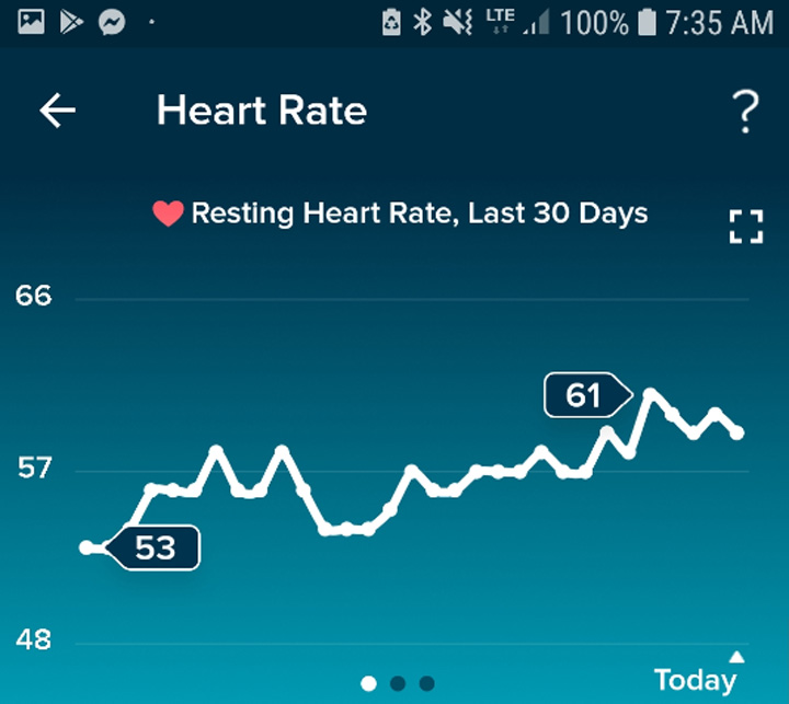 The Great Heartrate Experiment - Max Langert